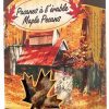 Pacanes enrobée à l'érable (50g)